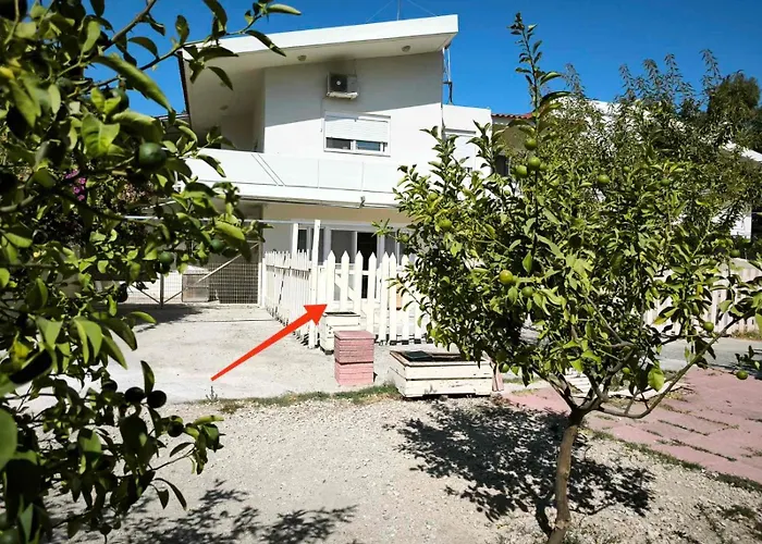 Costelia Apartamento *