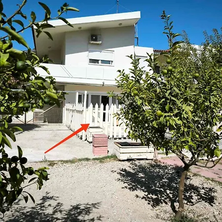 Costelia Apartament *